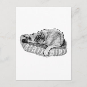 Lulled Days, Restful Stripe Scene Postcard