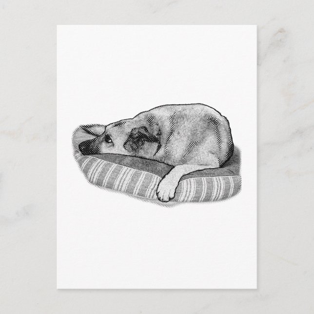 Lulled Days, Restful Stripe Scene Postcard (Front)