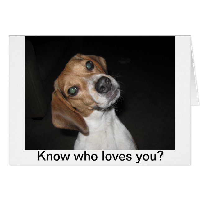 LuLu Belle (Front Horizontal)