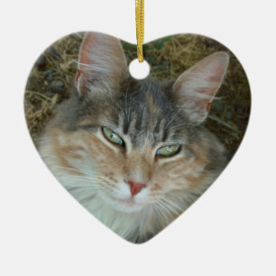 Lulu the Cat Ceramic Tree Decoration
