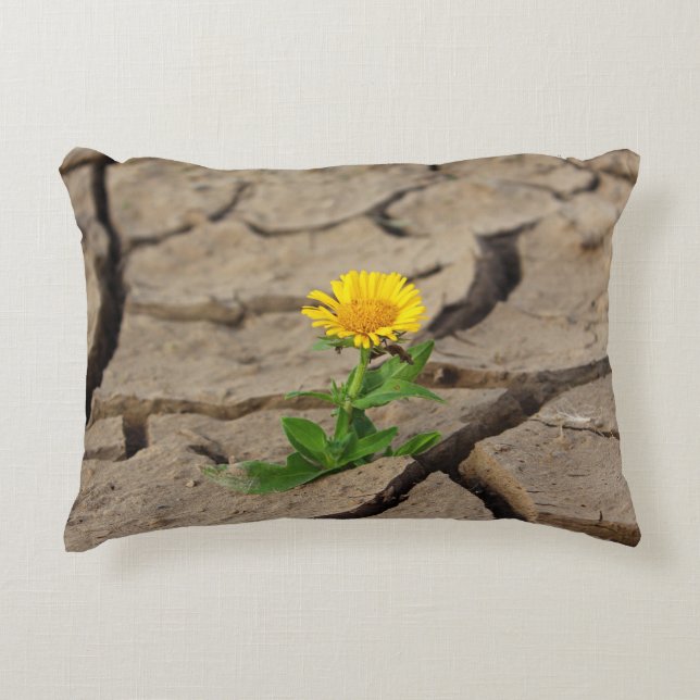 Lumbar Pillow 13" x 21" (Front)
