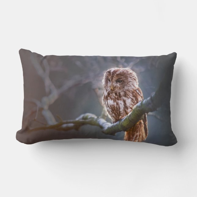 Lumbar Pillow 13" x 21" (Front)