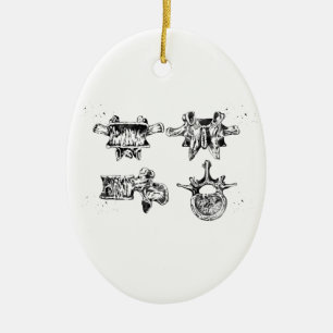 Lumbar spine structure ceramic ornament