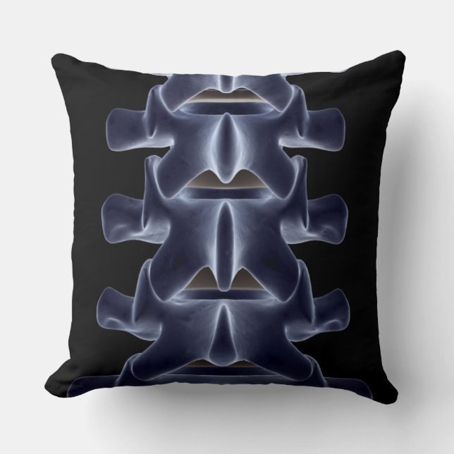Lumbar Vertebra 2 Cushion (Front)