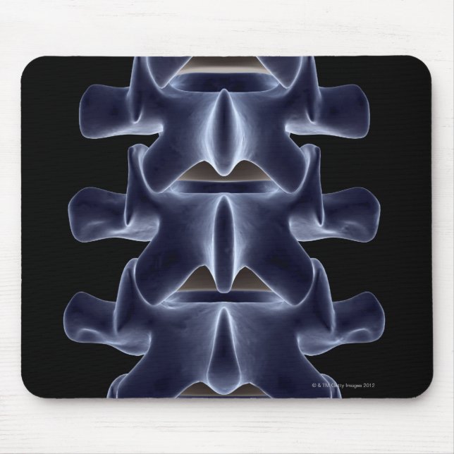 Lumbar Vertebra 2 Mouse Pad (Front)