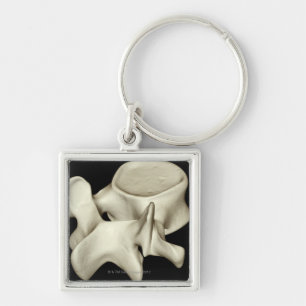 Lumbar Vertebra 4 Key Ring
