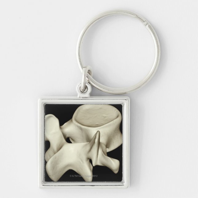 Lumbar Vertebra 4 Key Ring (Front)