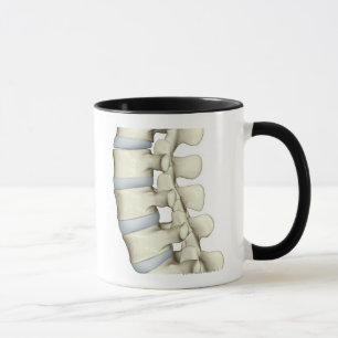 Lumbar Vertebrae Mug