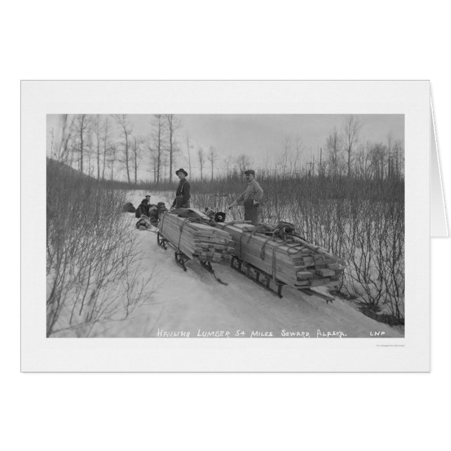 Lumber Dog Seward, Alaska 1917 (Front Horizontal)