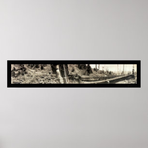 Lumberjack Redwoods Photo 1915 Poster