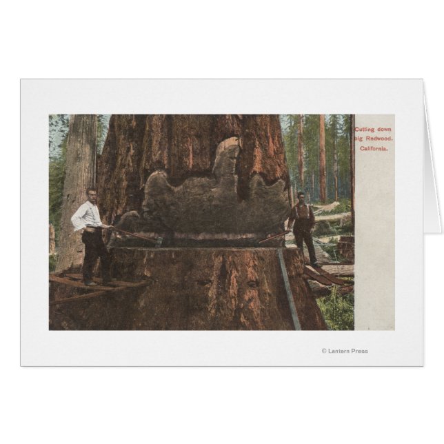 Lumberjacks Cutting Down a Redwood Tree (Front Horizontal)
