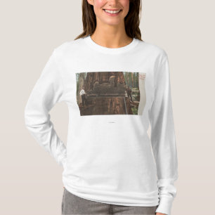 Lumberjacks Cutting Down a Redwood Tree T-Shirt