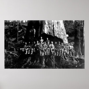 LUMBERJACKS in UNDERCUT -- 1884 Poster