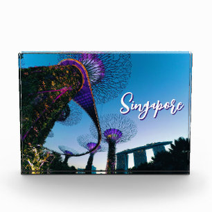 Luminescent Giants — Supertree Grove at Twilight Photo Block