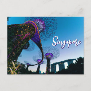 Luminescent Giants — Supertree Grove at Twilight Postcard