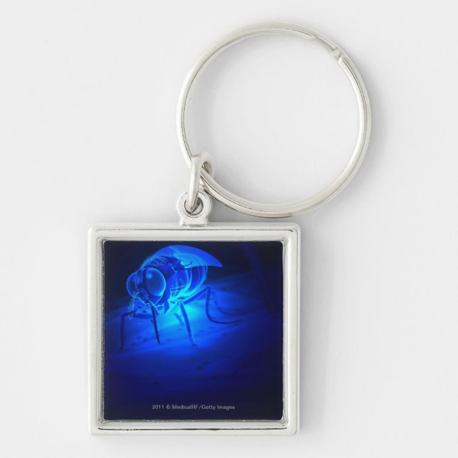 Luminescent illustration of a tsetse fly key ring (Front)