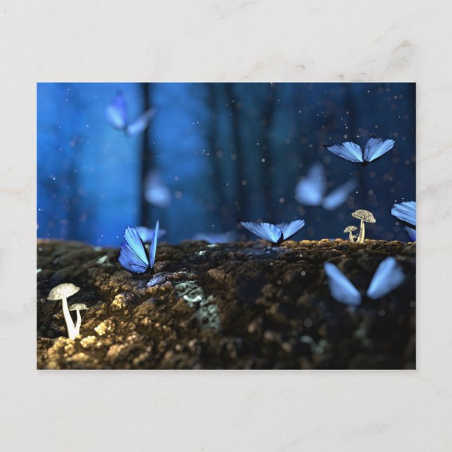 Luminescent mushrooms postcard (Front)