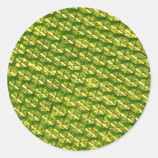 Luminosity! Classic Round Sticker