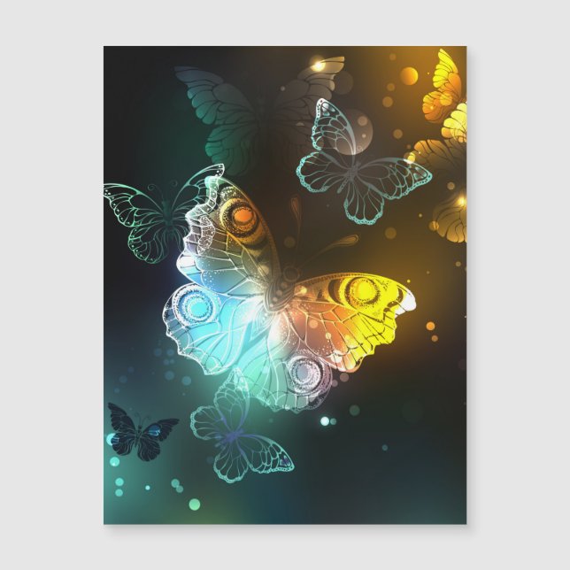 Luminous Butterfly and Night butterflies (Front)