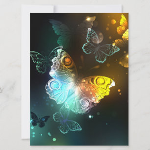 Luminous Butterfly and Night butterflies Announcement