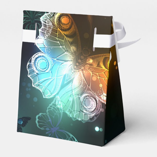Luminous Butterfly and Night butterflies Favour Box (Back Side)