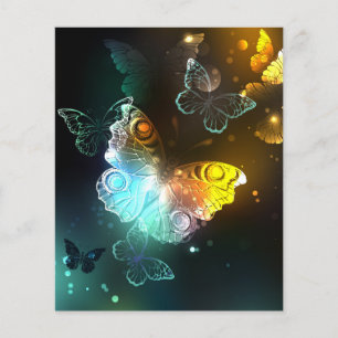 Luminous Butterfly and Night butterflies Flyer