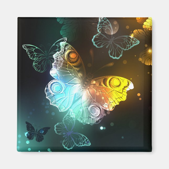 Luminous Butterfly and Night butterflies Magnet (Front)