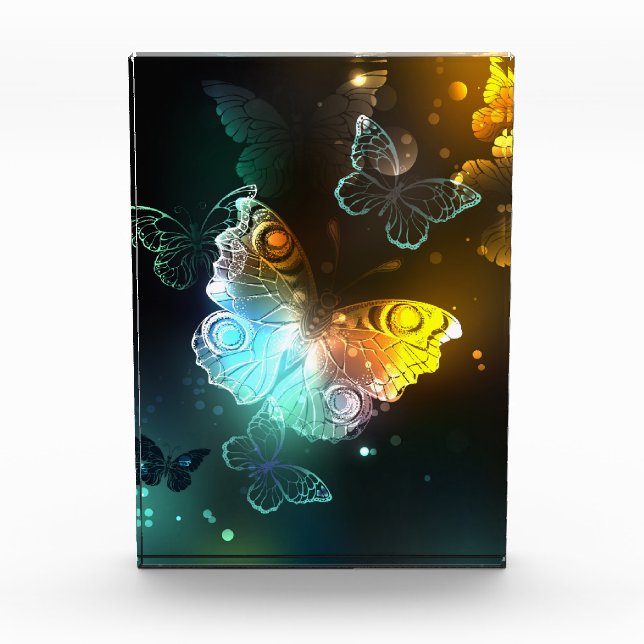 Luminous Butterfly and Night butterflies Photo Block (Front)