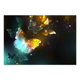 Luminous Butterfly and Night butterflies Photo Print