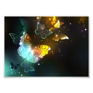 Luminous Butterfly and Night butterflies Photo Print