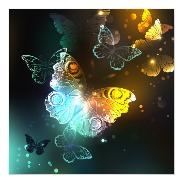 Luminous Butterfly and Night butterflies Photo Print (Front)