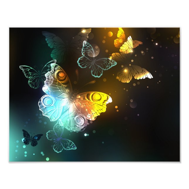 Luminous Butterfly and Night butterflies Photo Print (Front)