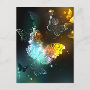 Luminous Butterfly and Night butterflies Postcard