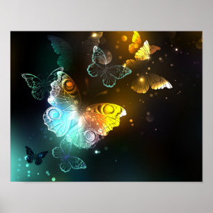 Luminous Butterfly and Night butterflies Poster