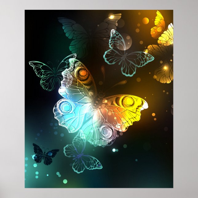 Luminous Butterfly and Night butterflies Poster (Front)