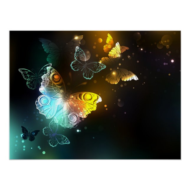 Luminous Butterfly and Night butterflies Poster (Front)