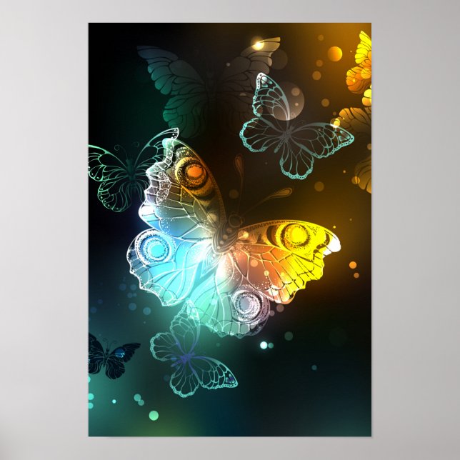 Luminous Butterfly and Night butterflies Poster (Front)