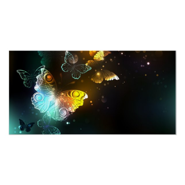 Luminous Butterfly and Night butterflies Poster (Front)
