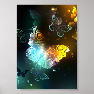 Luminous Butterfly and Night butterflies Poster