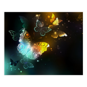 Luminous Butterfly and Night butterflies Poster