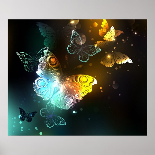 Luminous Butterfly and Night butterflies Poster (Front)