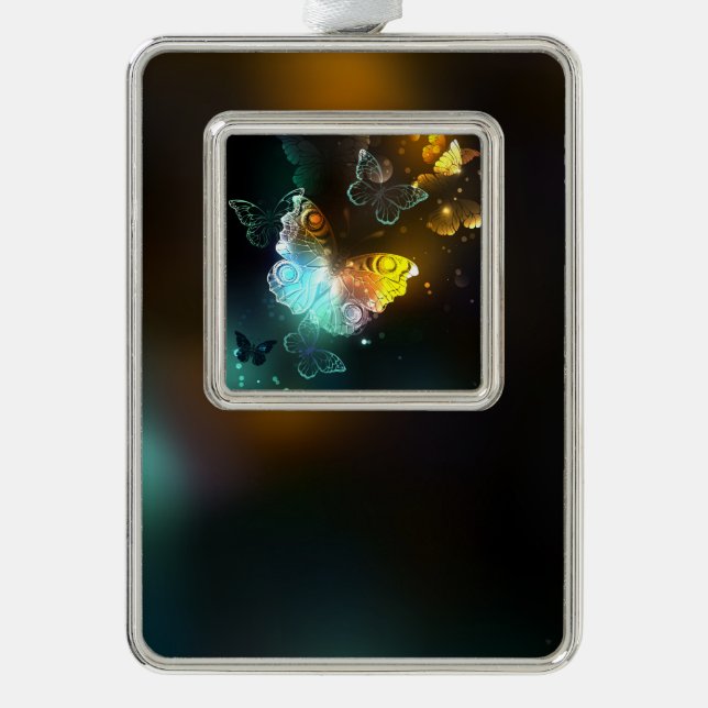Luminous Butterfly and Night butterflies Silver Plated Framed Ornament (Front)