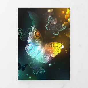 Luminous Butterfly and Night butterflies Tri-Fold Programme