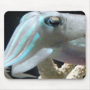 Luminous Cuttlefish Mouse Pad