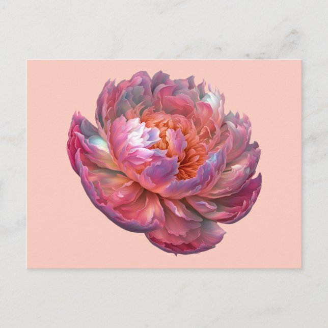 Luminous Peony Blossom Postcard (Front)