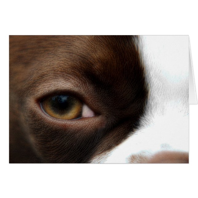 Luna (Front Horizontal)