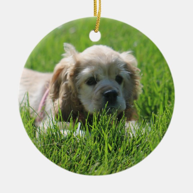 Luna Ceramic Ornament (Front)