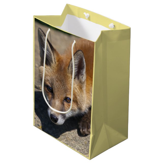 Luna Fox Gift Bag (Front Angled)