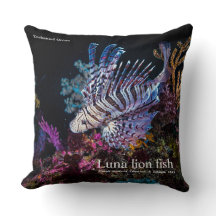 Luna lion fish, Pterois lunulata,
