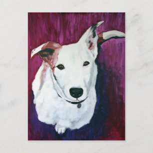 Luna Lurcher Postcard